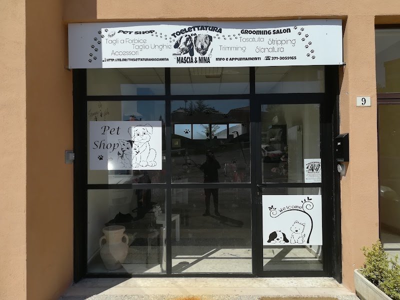 Toelettatura da Masha e Nina - Foto 2