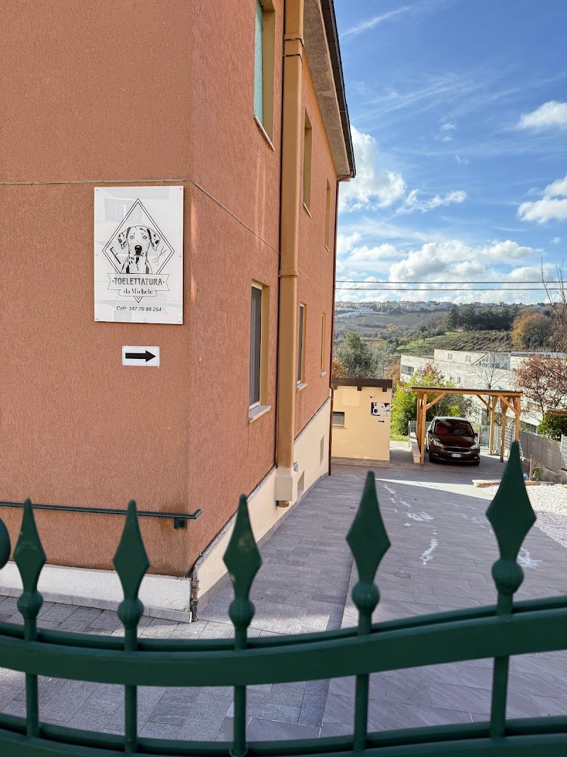 Toelettatura da Michele - Foto 1