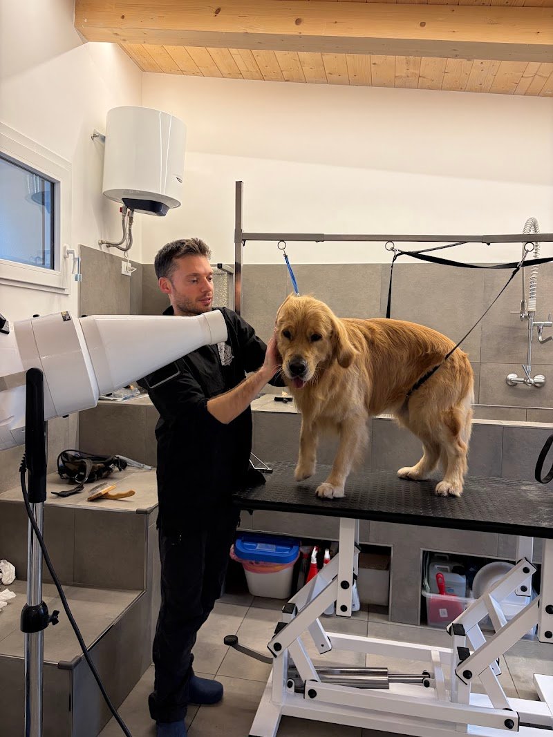 Toelettatura da Michele - Foto 2