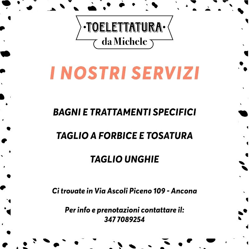 Toelettatura da Michele - Foto 3