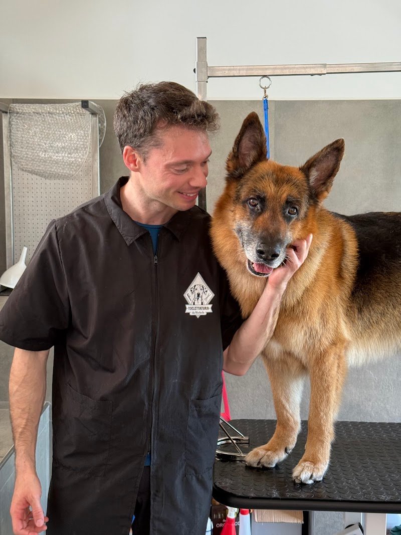 Toelettatura da Michele - Foto 4