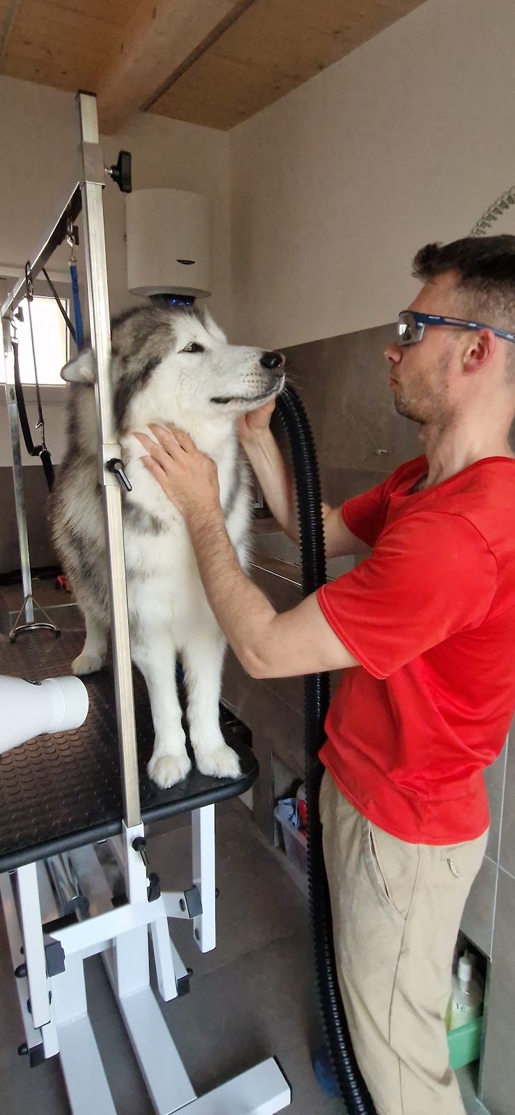 Toelettatura da Michele - Foto 6