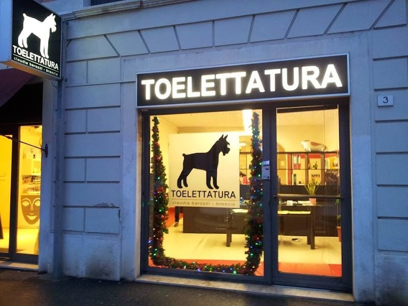 Toelettatura da Sara - Foto 4