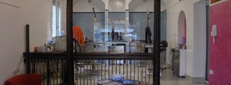 Toelettatura Davide Valli - Animal'S Beauty Farm Villa Valli - Foto 1