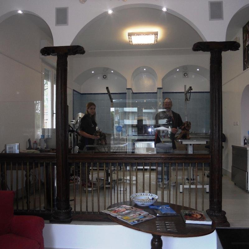 Toelettatura Davide Valli - Animal'S Beauty Farm Villa Valli - Foto 2