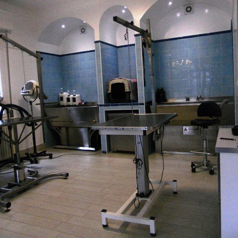 Toelettatura Davide Valli - Animal'S Beauty Farm Villa Valli - Foto 4