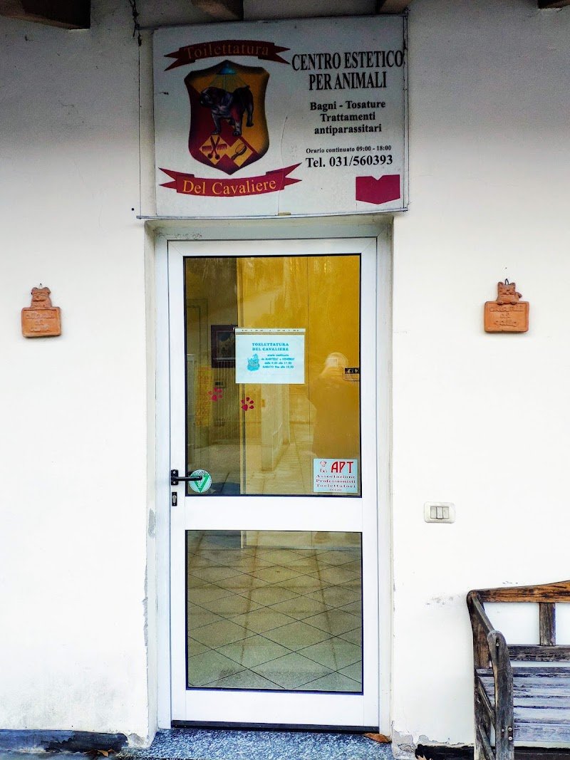 Toelettatura Del Cavaliere Di Stefano Sarti - Foto 1