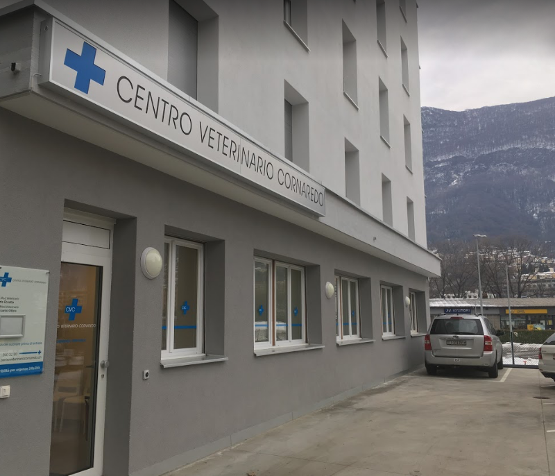 Toelettatura del Centro Veterinario Cornaredo - Foto 3