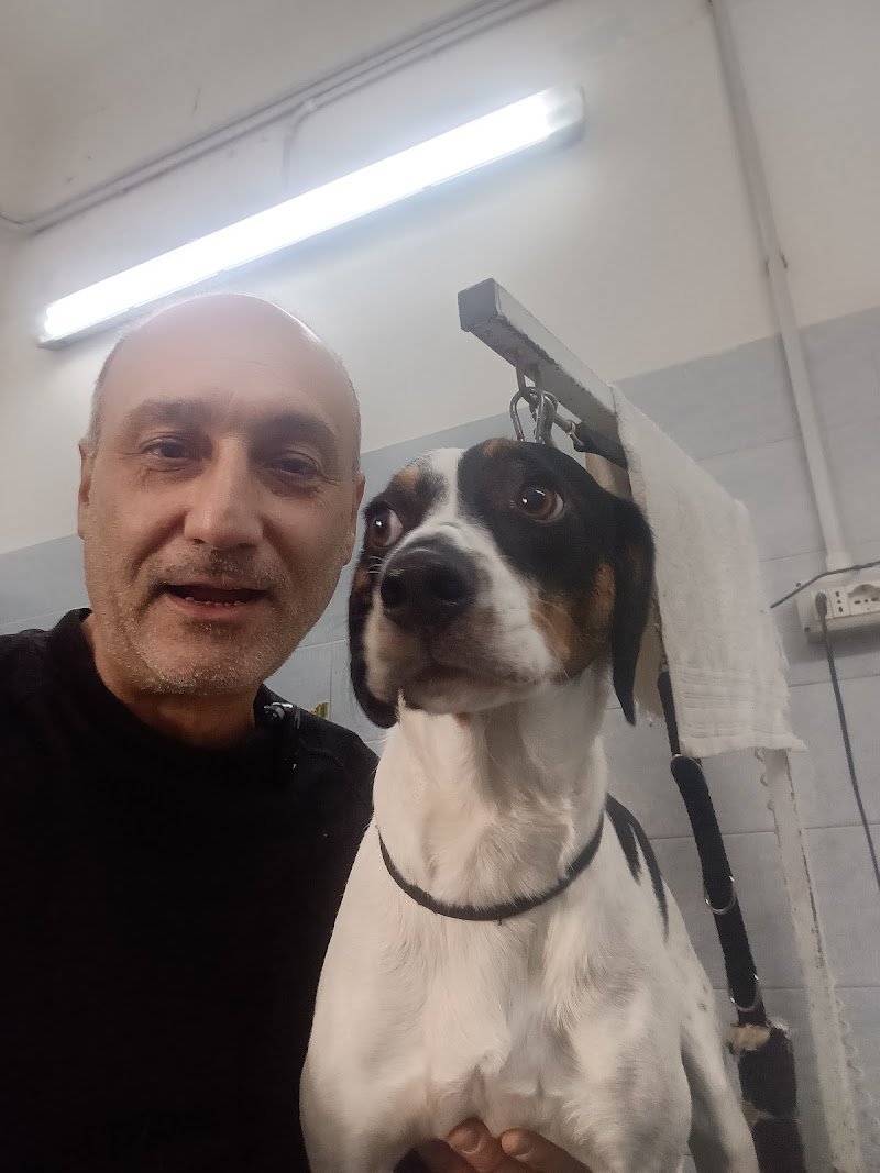 Toelettatura di Fabio&Nadia Millarte - Foto 2