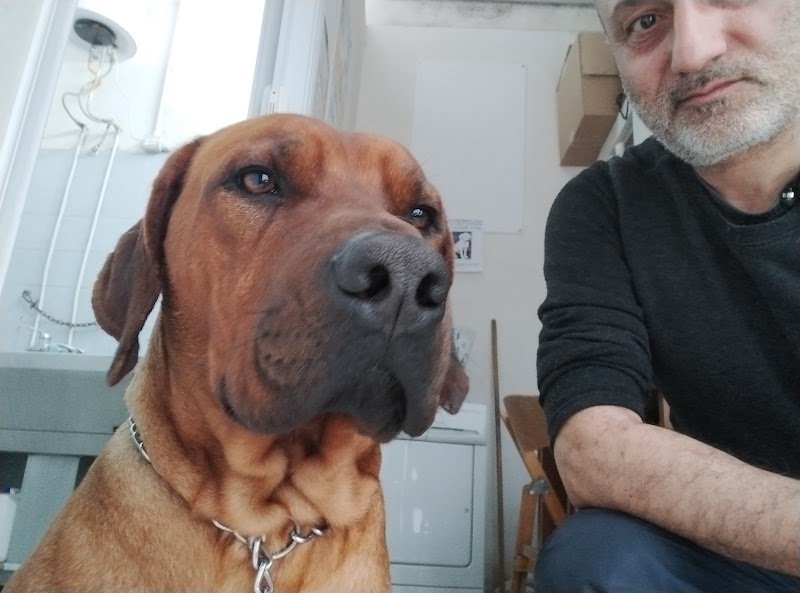 Toelettatura di Fabio&Nadia Millarte - Foto 4