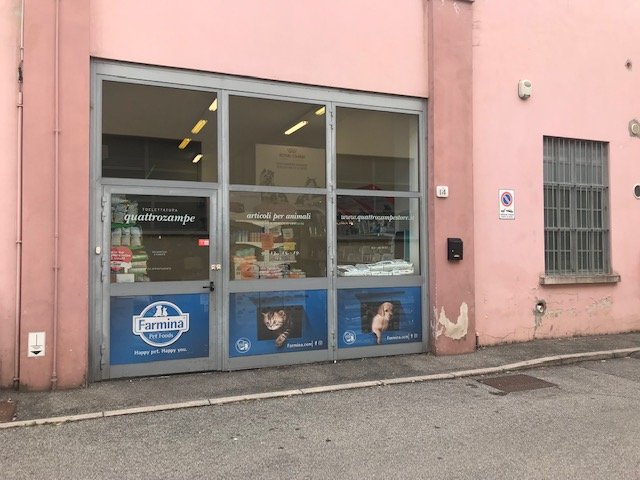 Toelettatura Di Faverio Maria Grazia - Foto 1