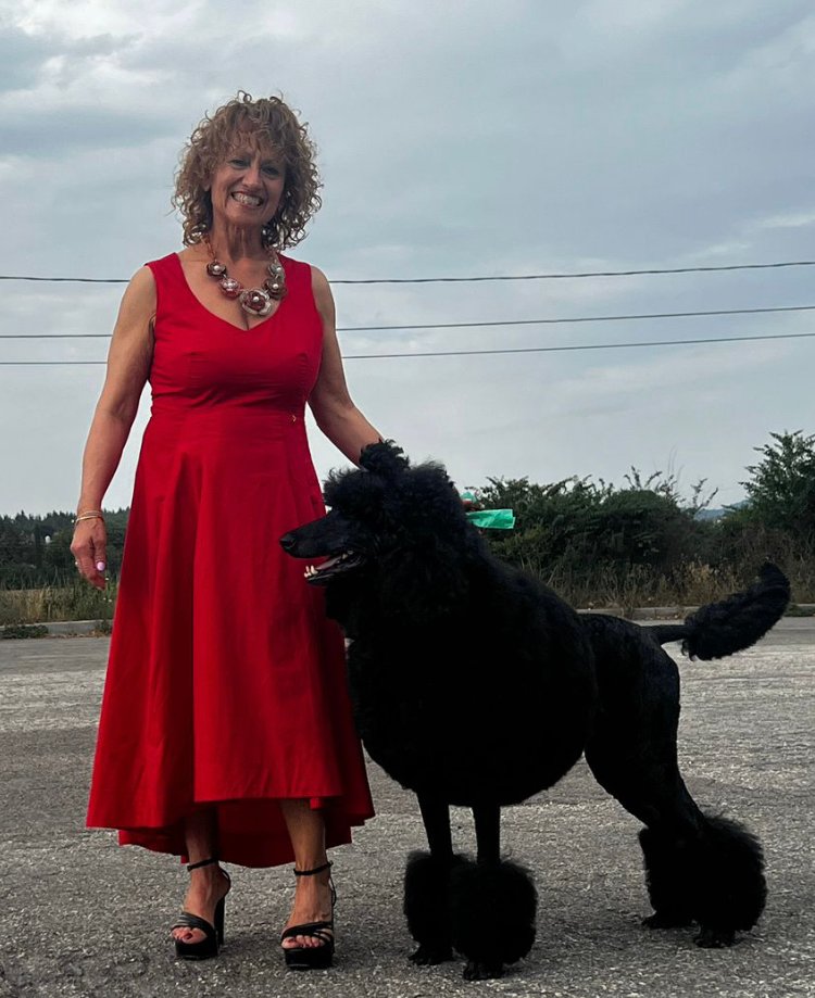 Toelettatura Diablo - Foto 1