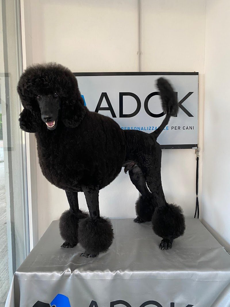 Toelettatura Diablo - Foto 2