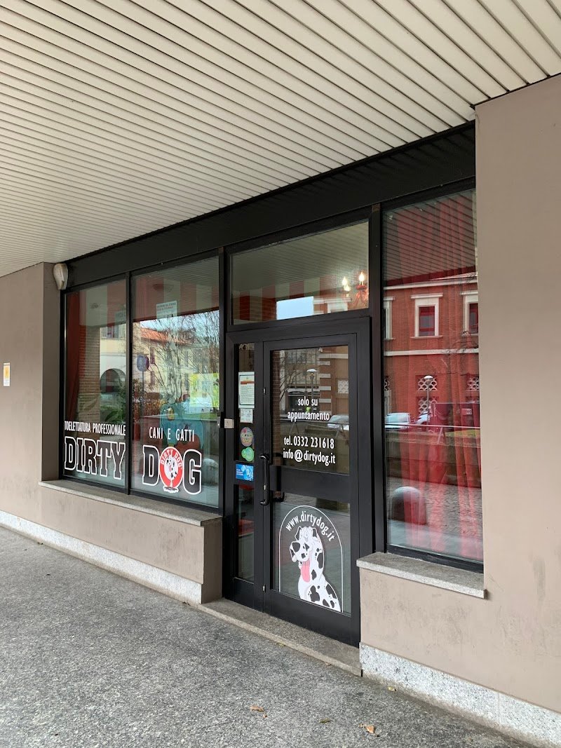 Toelettatura Dirty Dog - Foto 1