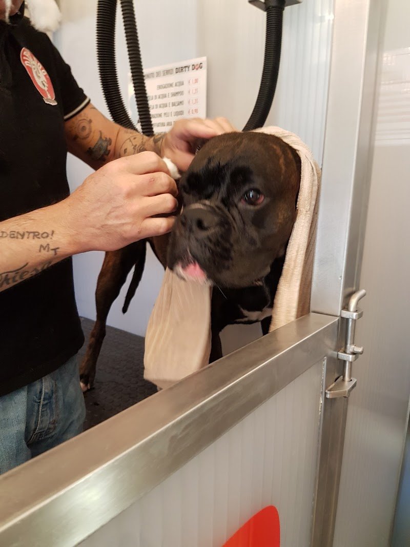 Toelettatura Dirty Dog - Foto 6