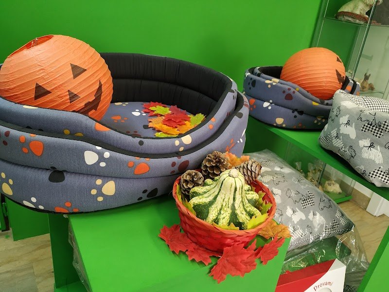 Toelettatura Dog Shop - Foto 2