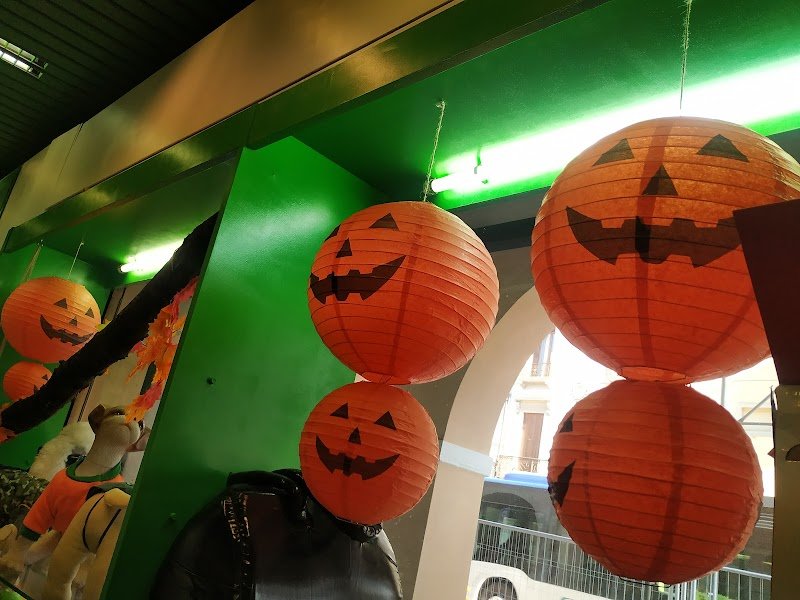 Toelettatura Dog Shop - Foto 4