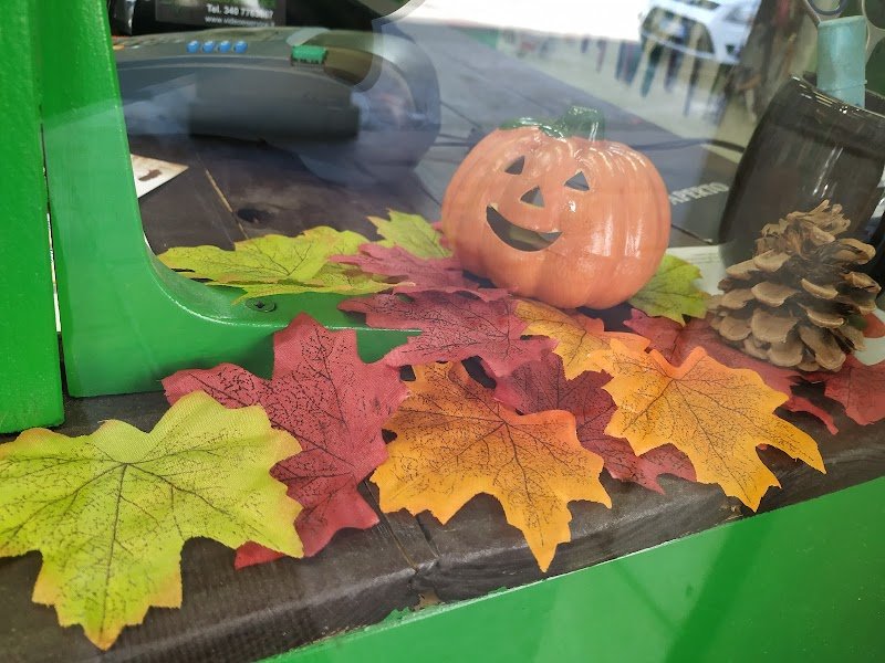 Toelettatura Dog Shop - Foto 5