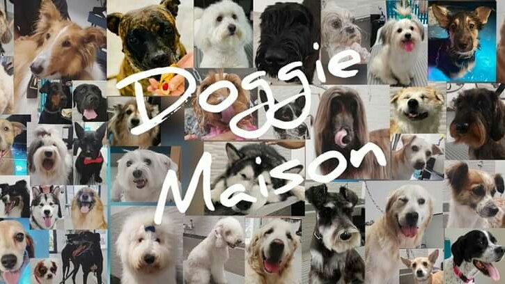 Toelettatura Doggie Maison - Foto 1