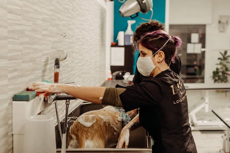 Toelettatura Doggie Maison - Foto 2