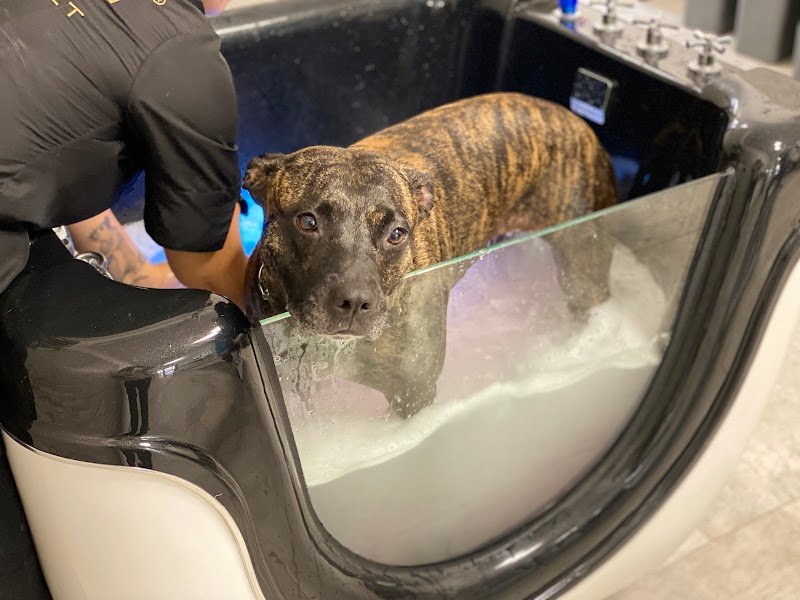 Toelettatura Doggie Maison - Foto 3