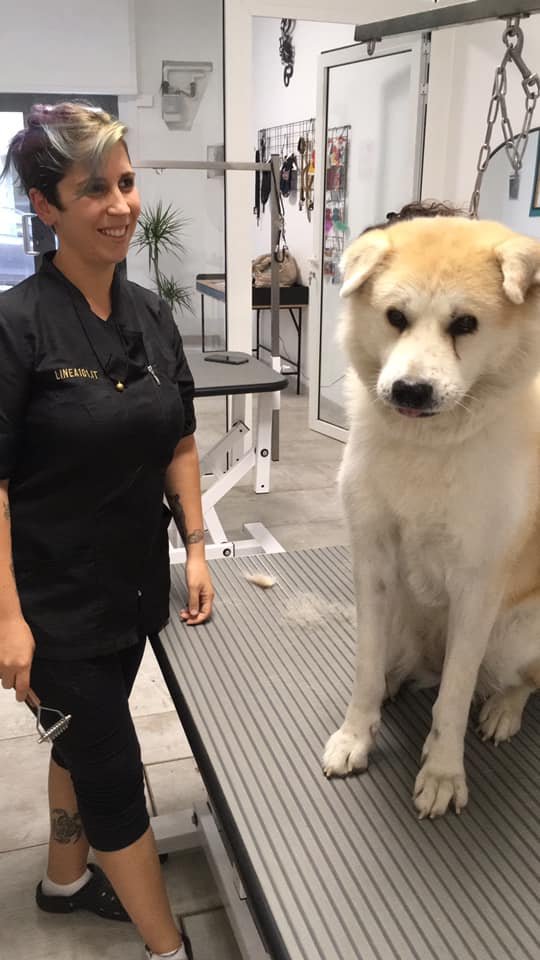 Toelettatura Doggie Maison - Foto 6