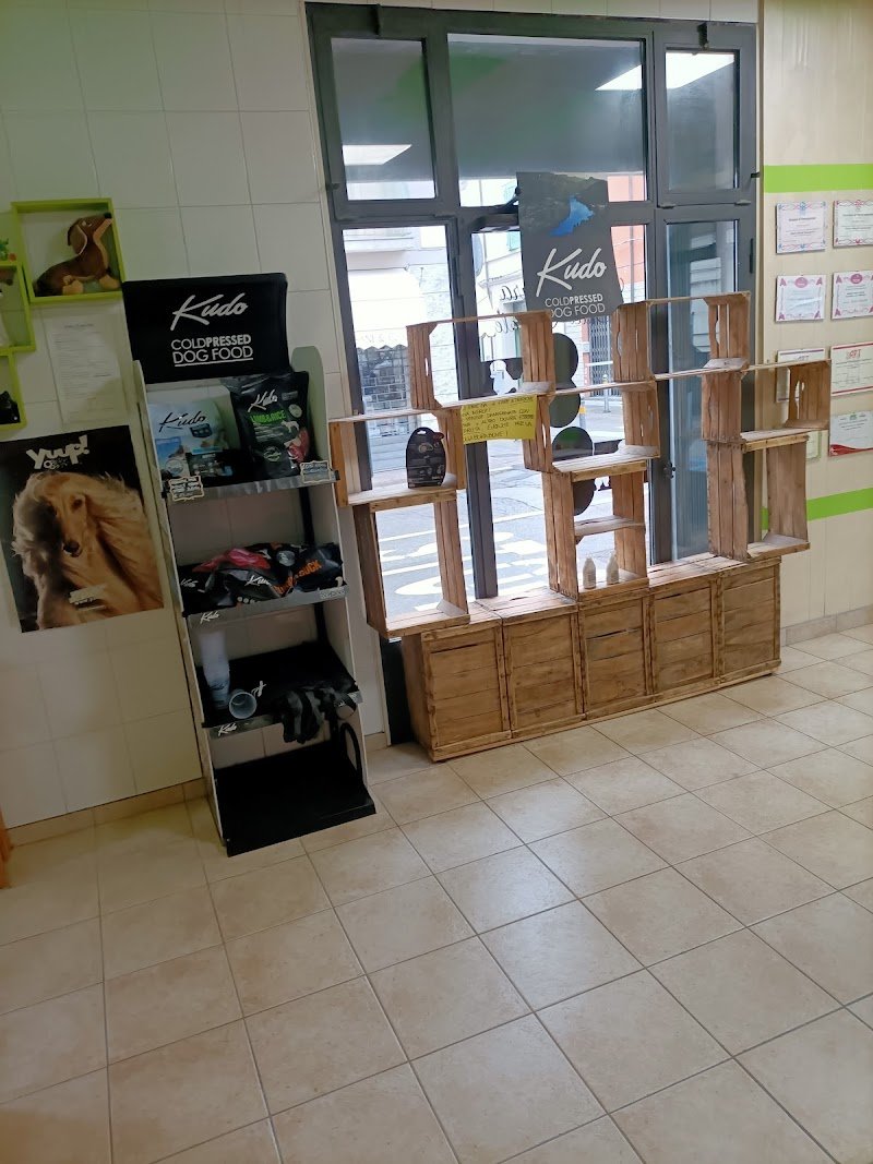 Toelettatura Dolci Coccole di manara Giulia - Foto 2