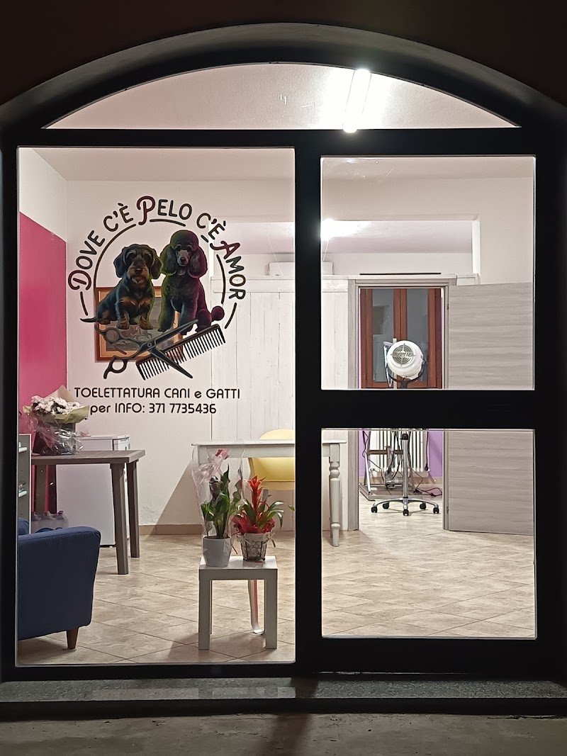 Toelettatura Dove c'è pelo c'è amor - Foto 2