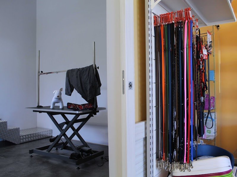 Toelettatura e Pet Shop ANWA - Foto 5