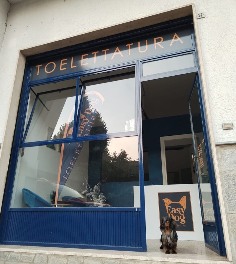 TOELETTATURA EASY DOG - Foto 1