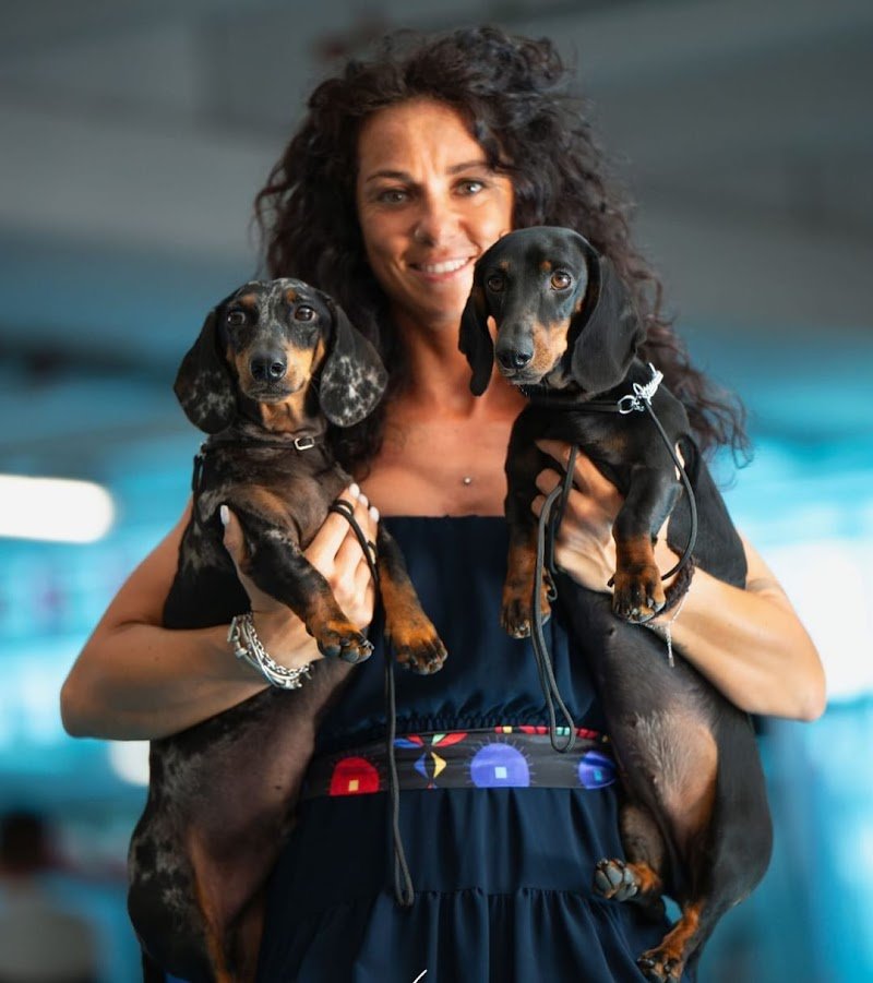 TOELETTATURA EASY DOG - Foto 3