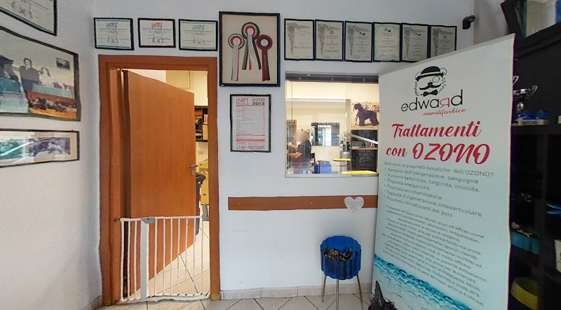 Toelettatura Edward - Foto 1