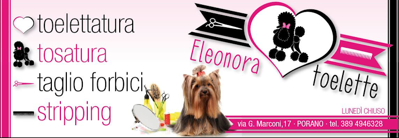 Toelettatura Eleonora - Foto 4