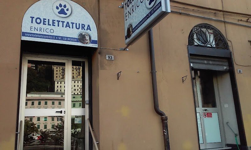 TOELETTATURA ENRICO - Foto 2