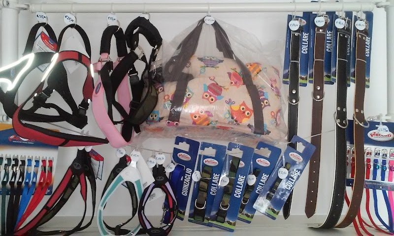 TOELETTATURA ENRICO - Foto 3