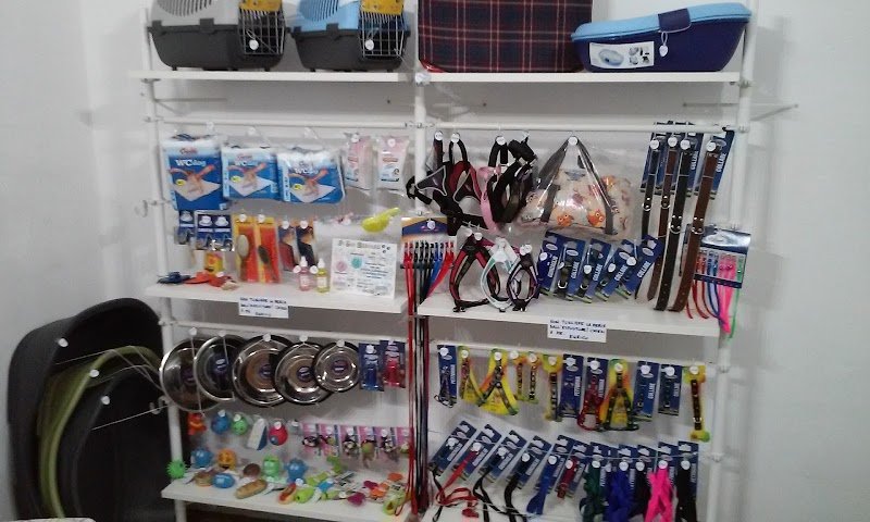 TOELETTATURA ENRICO - Foto 6