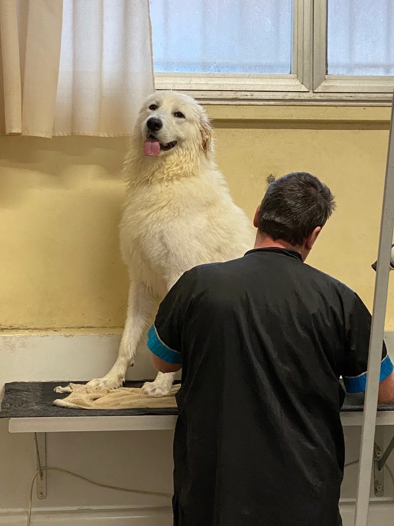 TOELETTATURA FE.MIR.ZOO - Foto 1