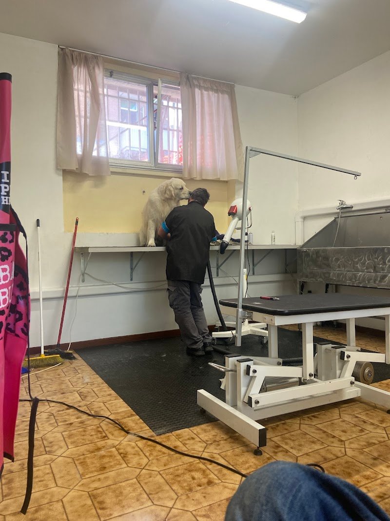 TOELETTATURA FE.MIR.ZOO - Foto 3