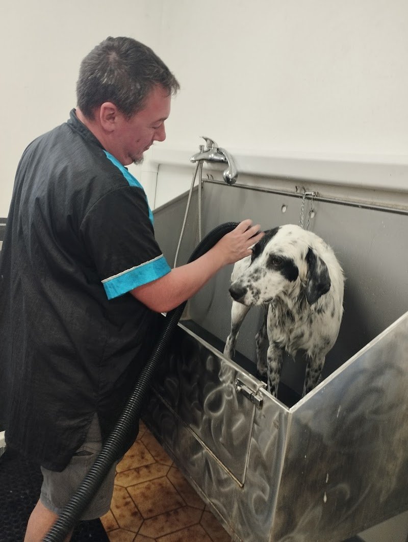 TOELETTATURA FE.MIR.ZOO - Foto 6