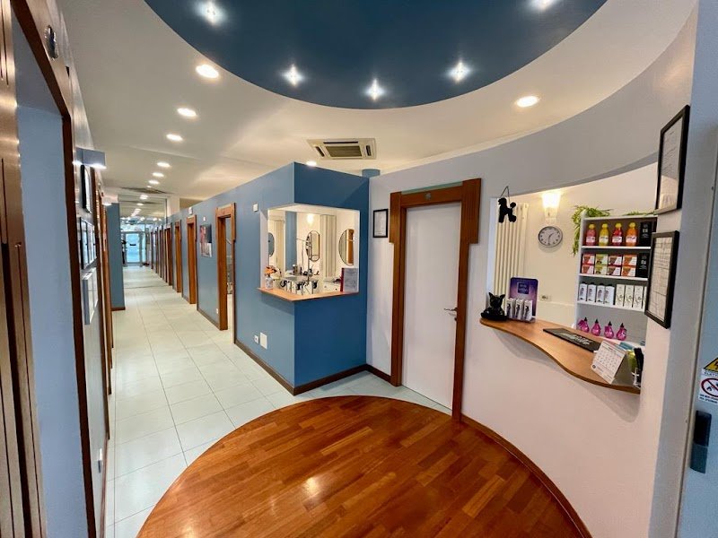 Toelettatura Fido Mon Amour 2 di Lombardi Andrea - Forlì - Foto 5