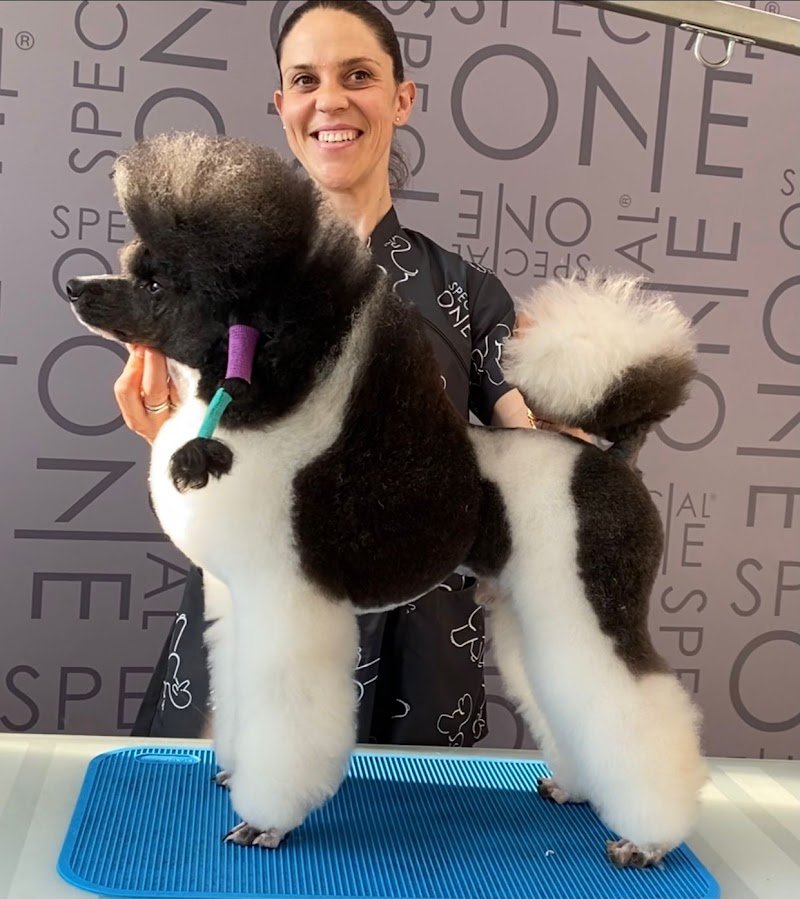 Toelettatura Fido Mon Amour di Giulia Carnaccini - Foto 5