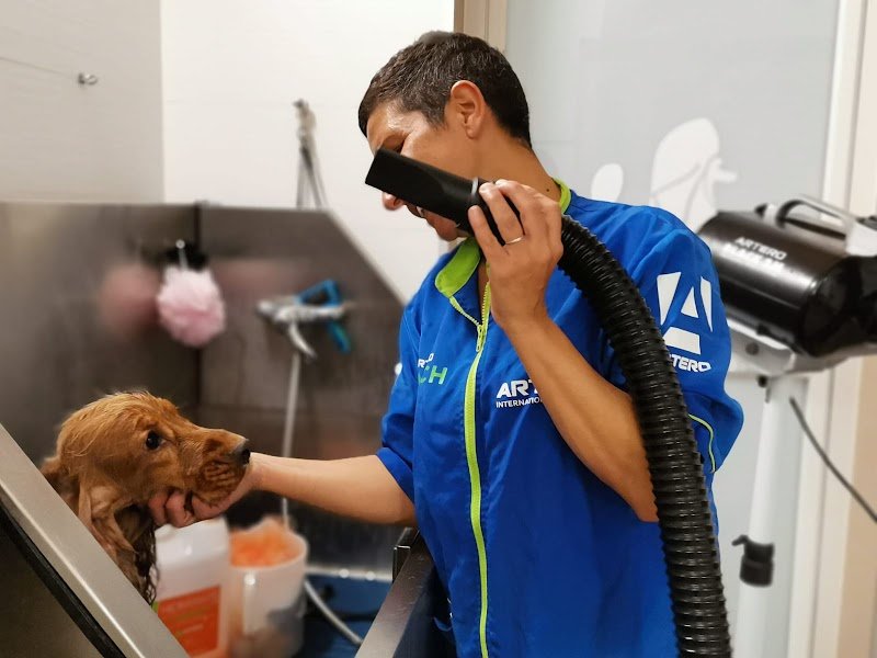 Toelettatura Figaro - Foto 1