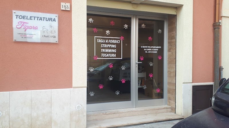 Toelettatura Figaro - Foto 4