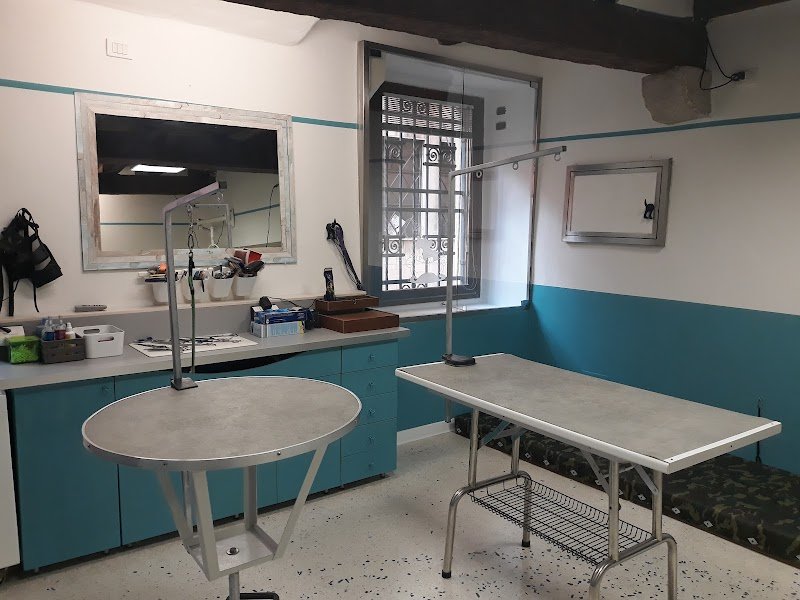 Toelettatura Fox Bauhaus - Foto 3