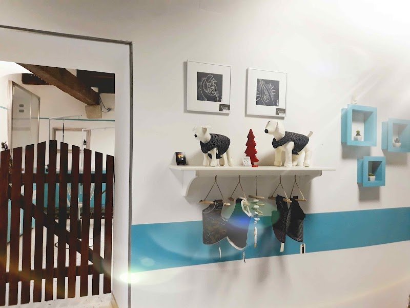 Toelettatura Fox Bauhaus - Foto 4