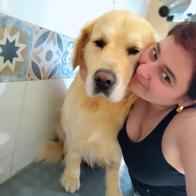 Toelettatura Francesca - Foto 5