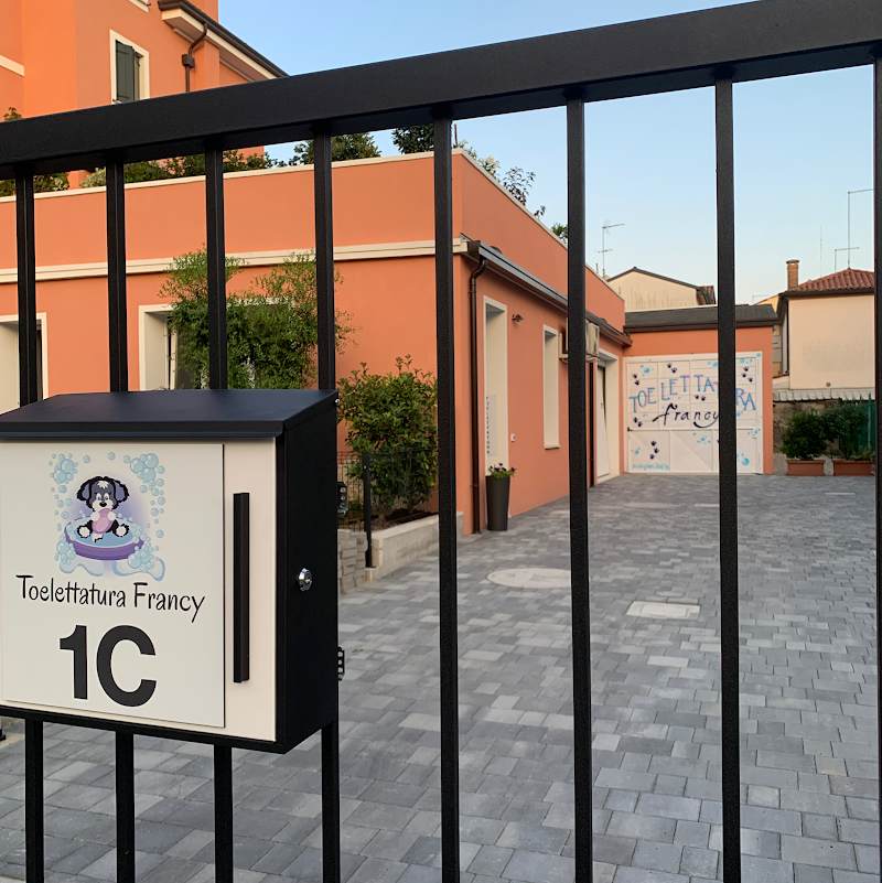 Toelettatura Francy - Foto 1