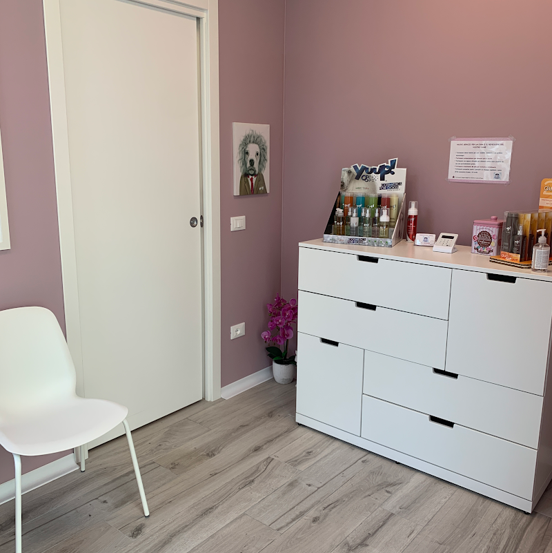 Toelettatura Francy - Foto 3