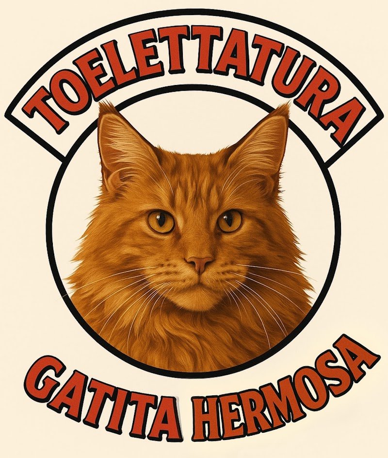 Toelettatura Gatita Hermosa - Foto 1