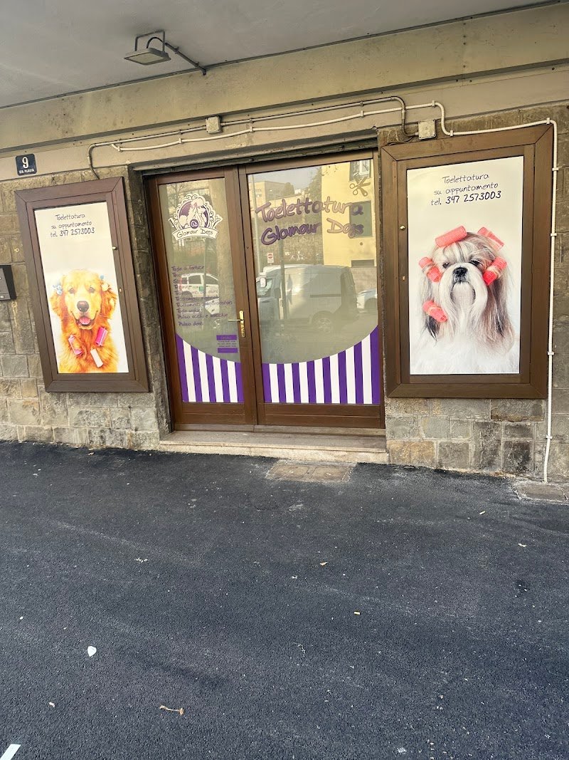 Toelettatura Glamour Dogs Trieste - Foto 1